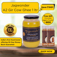Jagwonder A2 Gir Pure Cow Ghee – 1 Litre, infused with tulsi for balancing tridosha , Billona Method, Cultured, Glass Jar + Free Chocolate Jaggery Powder (2 x 200gm) Worth Rs.800