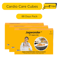 Cardio Care Jaggery Cubes – Garlic, Turmeric & Flaxseed Infused | Natural Cholesterol & Heart Health Support | GTF Ayurvedic Jaggery Cubes