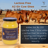 Jagwonder A2 Gir Pure Cow Ghee, 500ml, Lactose fee and tulsi inused for balancing tridosha ,Billona Method, Cultured in food grade glass jar
