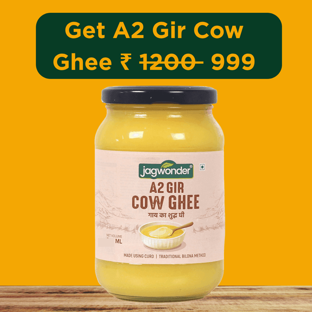 Jagwonder A2 Gir Cow Ghee 250ml ( 125ml*2) Lactose free ,  infused with tulsi for balancing tridosha , | Cultured, Bilona Method, Pure Desi Ghee | Made in Small Batches